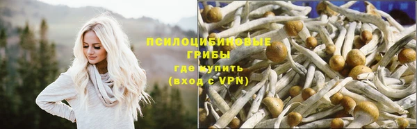 бутират Каменск-Шахтинский