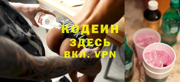 2c-b Каменка