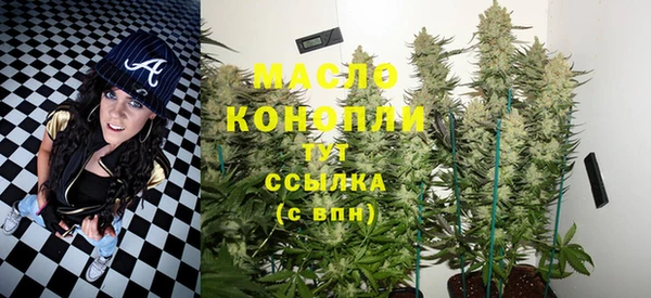 2c-b Каменка