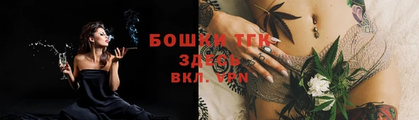 2c-b Каменка