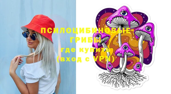2c-b Каменка