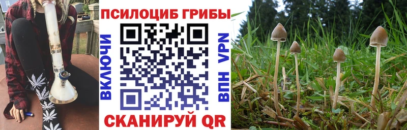Купить закладки  Инза  Галлюциногенные грибы Magic Shrooms 